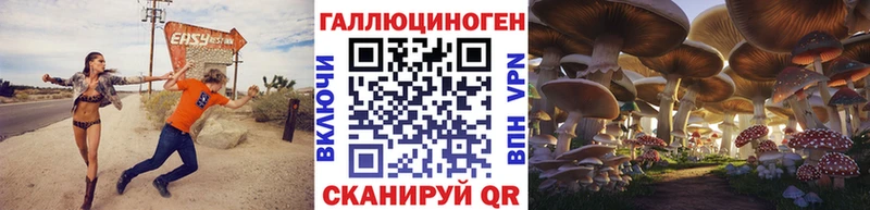 Галлюциногенные грибы Cubensis  что такое   Терек 